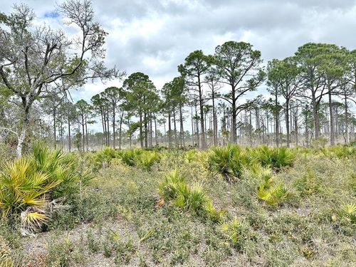 Lot 47 Sw 100th Pl, Cedar Key, FL, 32625 | Card Image