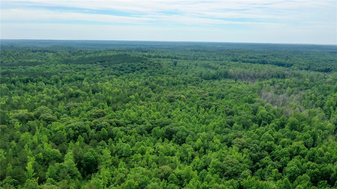 Land in Waverly 4