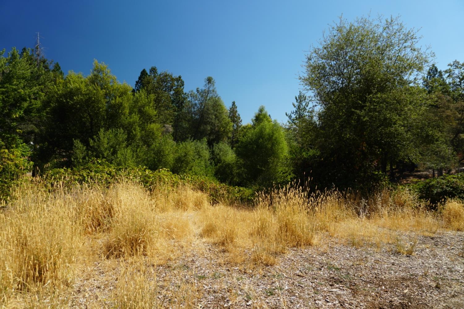Land in Grass Valley 5