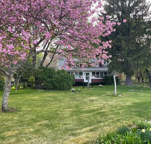 241 Fisher St, Walpole, MA, 02081-3924 | Card Image