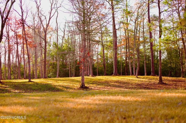 161 Sunshine Dr, Home with 0 bedrooms, 0 bathrooms and null parking in Arapahoe NC | Image 15