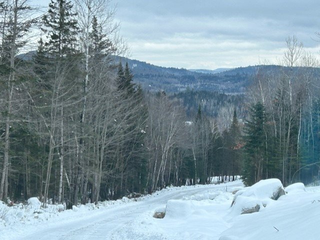 Land in Saint-Alexis-des-Monts 3