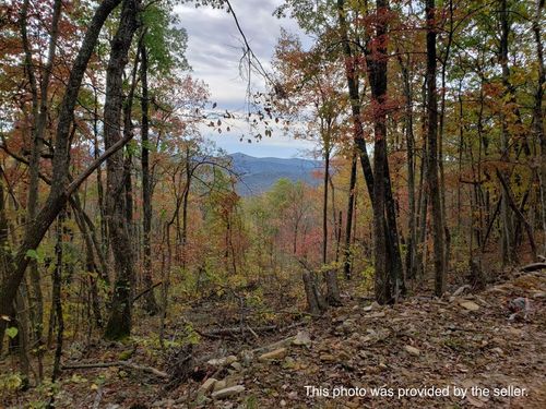 58 A Oneida Peak Rd, Tazewell, VA, 24651 | Card Image