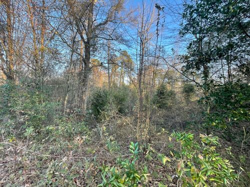 Lot 6-C Forest Circle, New Ellenton, SC, 29809 | Card Image