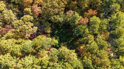 DJI_20241029231715_0020_D | Image 3