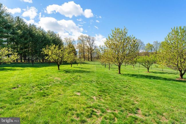 10027 John S Mosby Hwy, Home with 7 bedrooms, 8 bathrooms and null parking in Upperville VA | Image 65