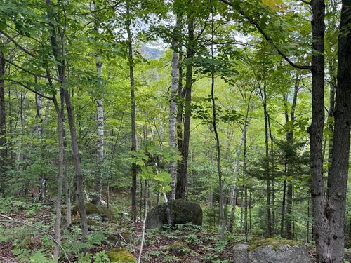 00 Adrians Acres Ln, Keene Valley, NY, 12943 | Card Image