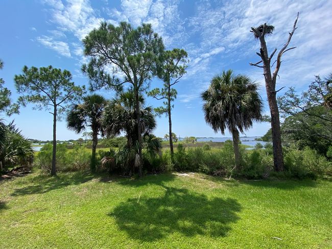 Lot #21 Watson Cir, Home with 0 bedrooms, 0 bathrooms and null parking in CEDAR KEY FL | Image 16