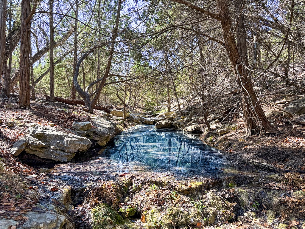 Land in Kerrville 2