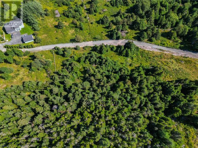 20 Kennedys Lane, Home with 0 bedrooms, 0 bathrooms and null parking in Holyrood NL | Image 9