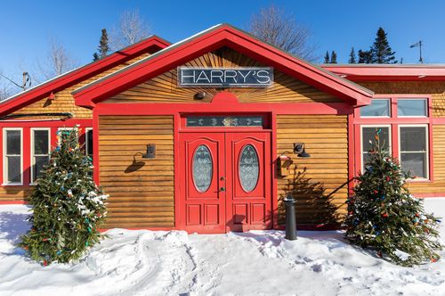 3621 Vt Route 103 S, Mount Holly, VT, 05758-9565 | Card Image