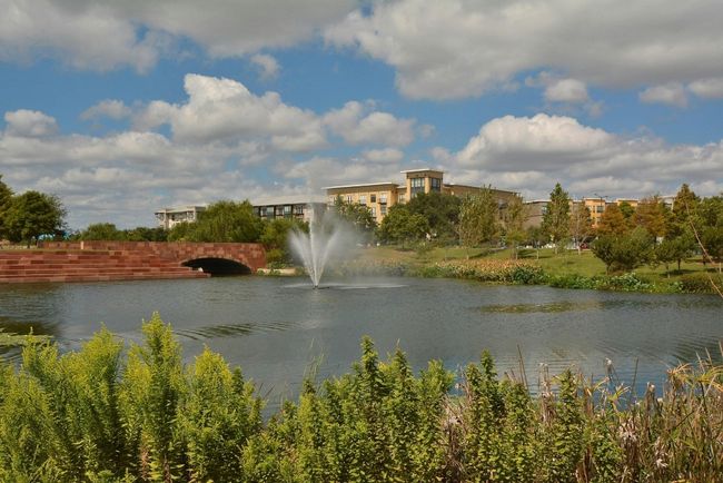 APT-2010 - 4801 Springdale Rd, Condo with 2 bedrooms, 2 bathrooms and 1 parking in Austin TX | Image 39