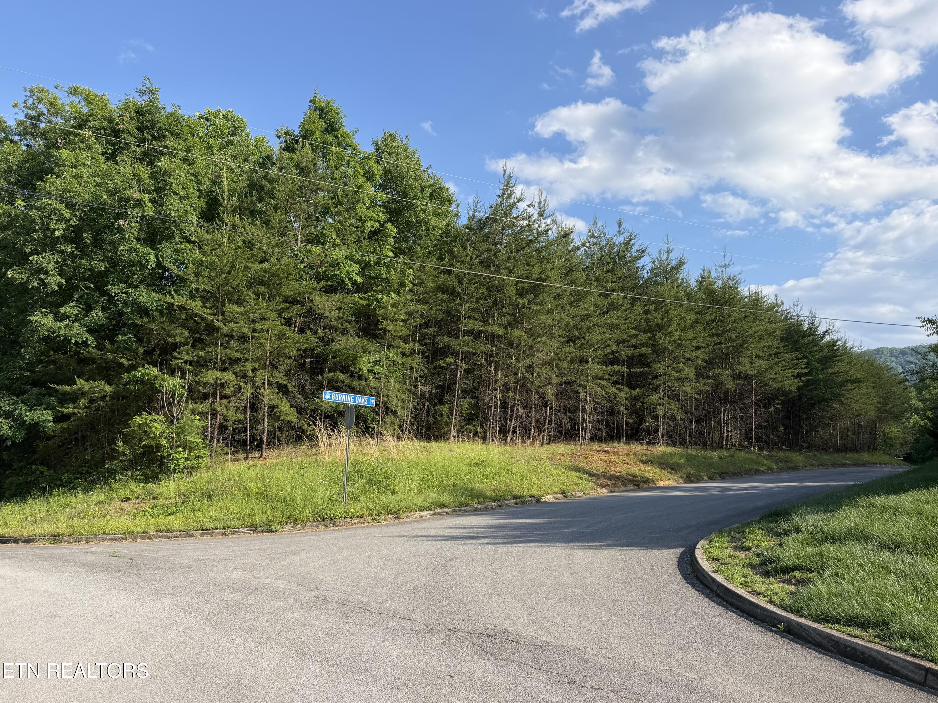 Land in Sevierville 2