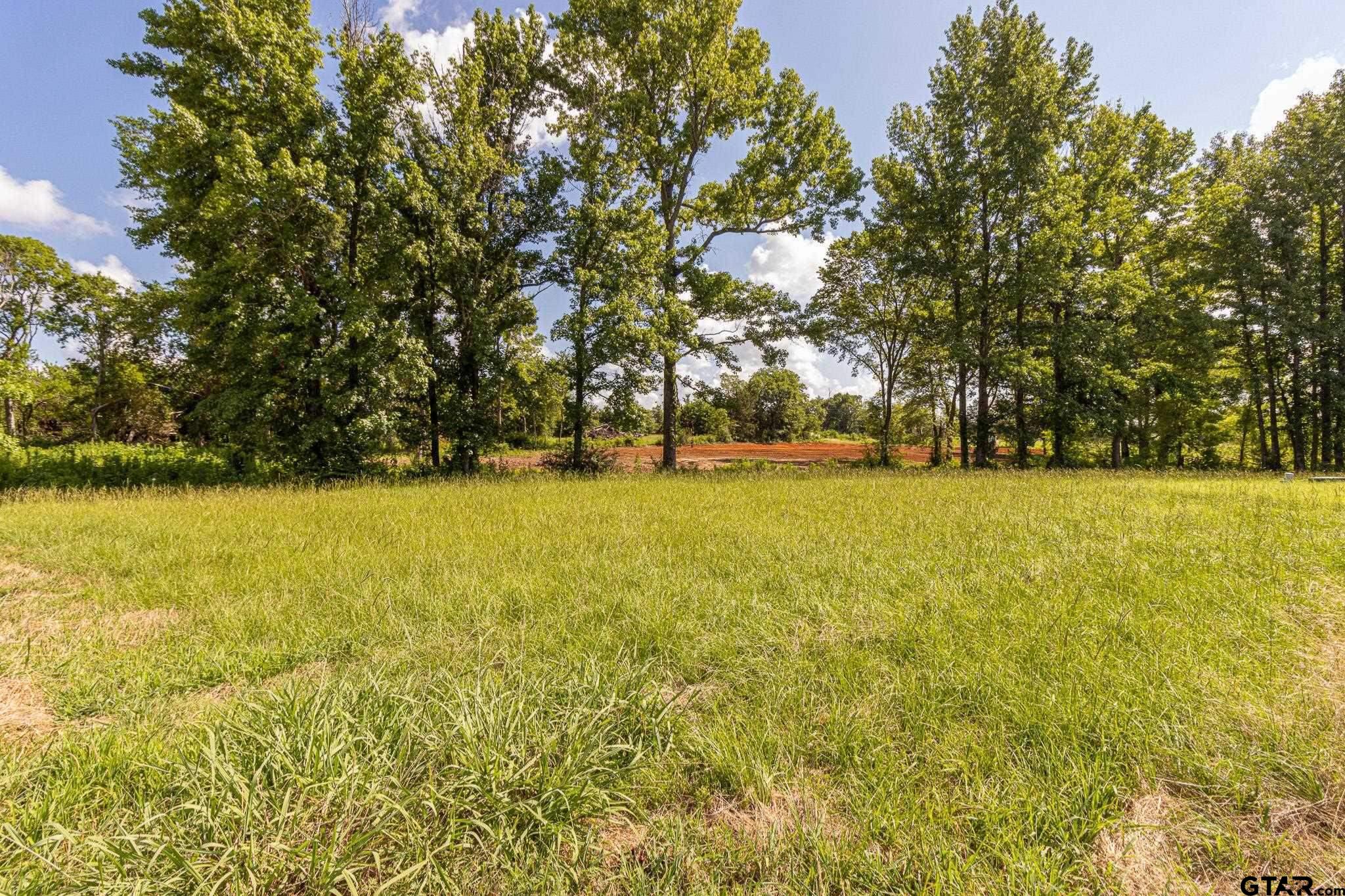 Land in Bullard 5