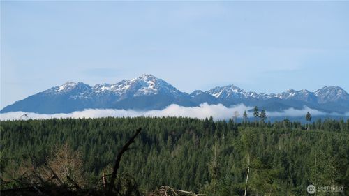 2180 Ne Dewatto Beach Dr, Tahuya, WA, 98588 | Card Image