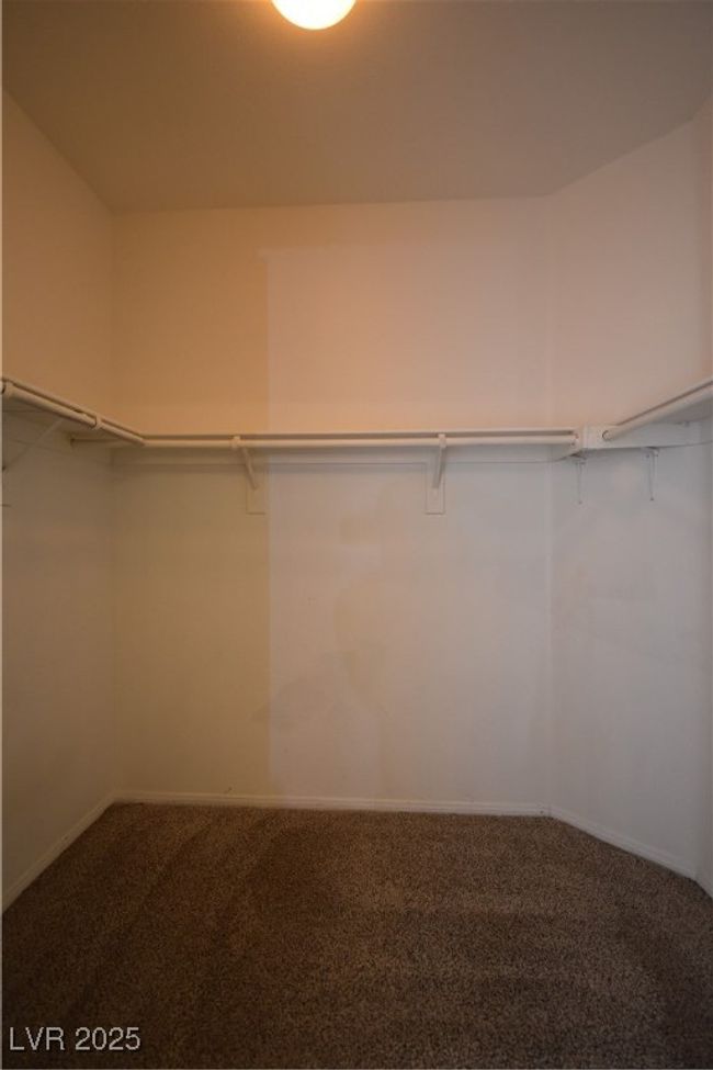 Spacious closet featuring carpet | Image 23