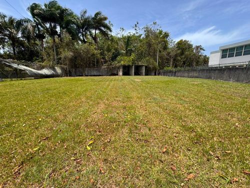 Carr 738 KM 1.4 Bo Montellano, Cayey, PR, 00736 | Card Image