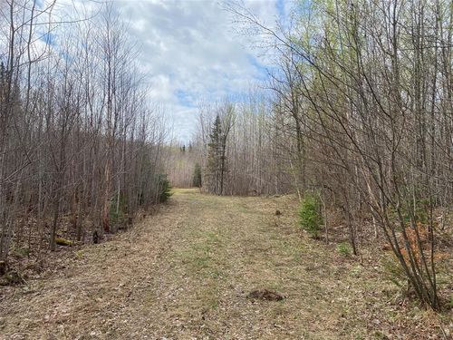 Near Wilson Lake Road, ELK, WI, 54555 | Card Image