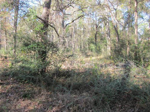 32602 Dogwood Trl, Magnolia, TX, 77355-4828 | Card Image
