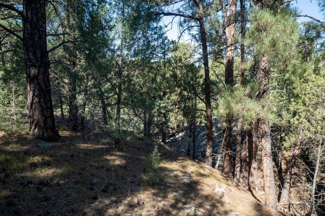 Lot 4 Sunset Ridge Road, Home with 0 bedrooms, 0 bathrooms and null parking in Newcastle WY | Image 20