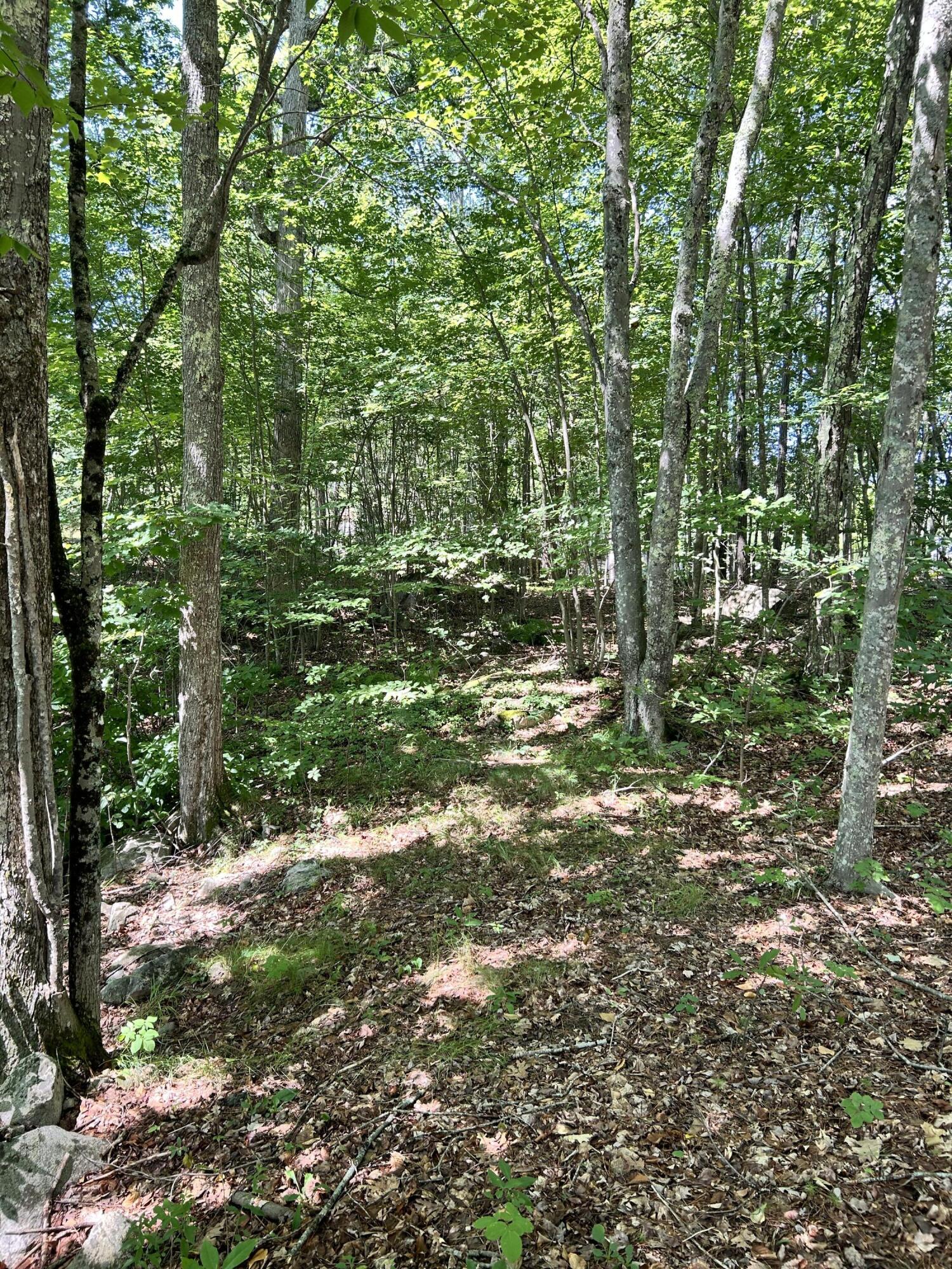 Land in Lyman 4