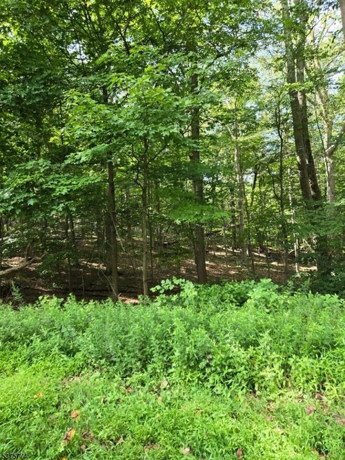 54 Northwood Rd, Lake Hopatcong, NJ, 07849-1454 | Card Image