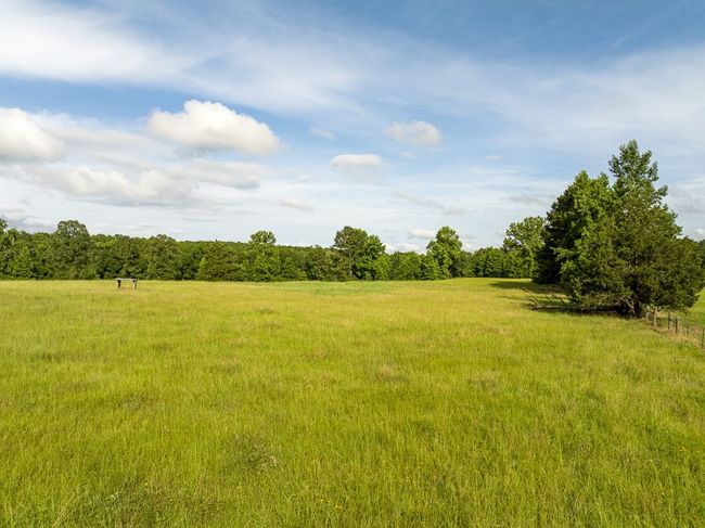 View of yard with a wooded view and a view of countryside | Image 11