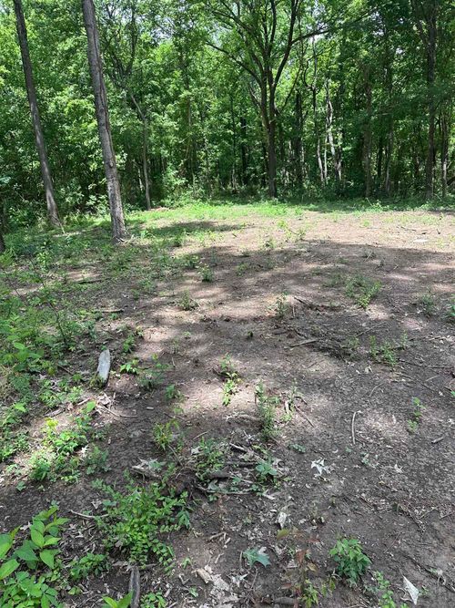 0 N Watkins Rd, Millington, TN, 38053 | Card Image