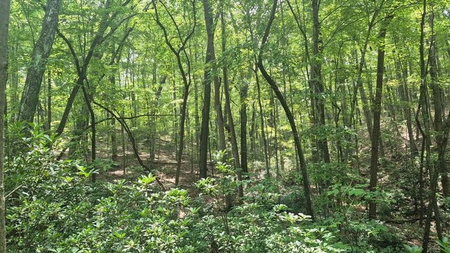 1255 Cherokee Path, Home with 0 bedrooms, 0 bathrooms and null parking in Jasper TN | Image 9