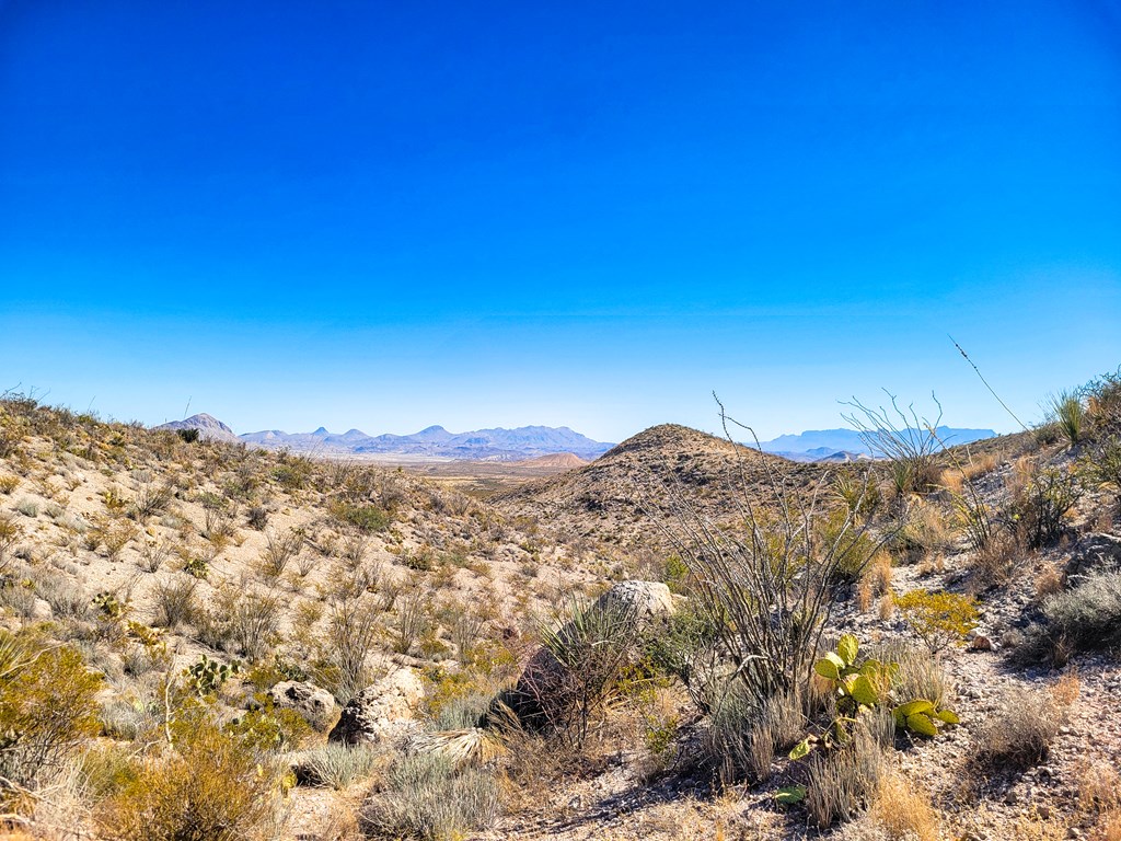 Land in Terlingua 2
