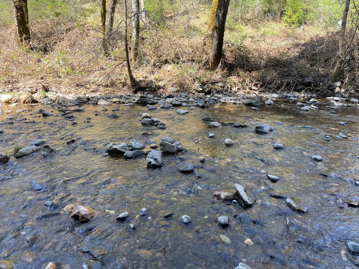 Land in Sutter Creek 3
