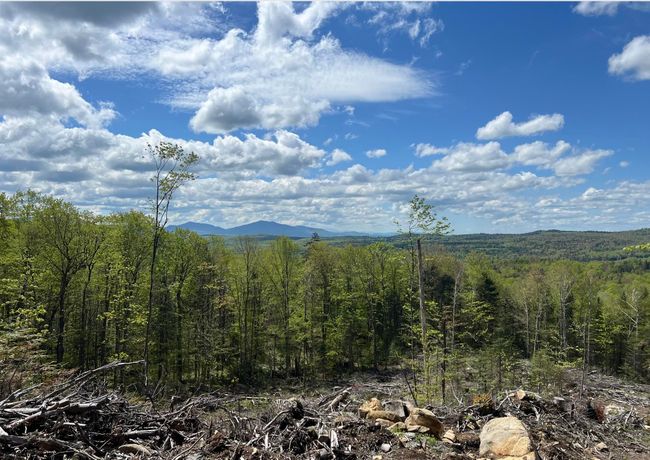 1180 Abbott Hill Rd, Home with 0 bedrooms, 0 bathrooms and null parking in West Burke VT | Image 7