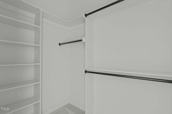 tempImageLykWqW | Image 72
