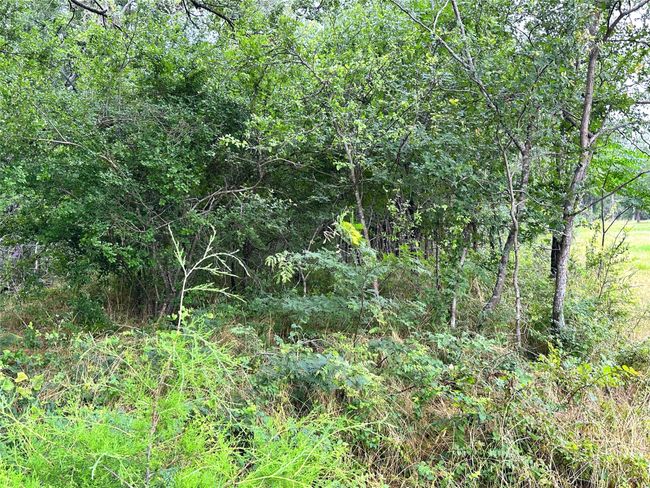 Lot 6 & TBD BTSLP# Emerald Lane, Home with 0 bedrooms, 0 bathrooms and null parking in Corsicana TX | Image 25