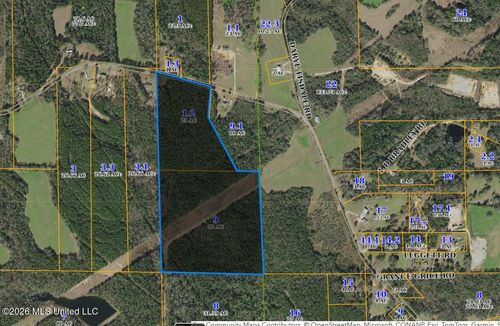 00 Rainey Rd, Moselle, MS, 39459 | Card Image