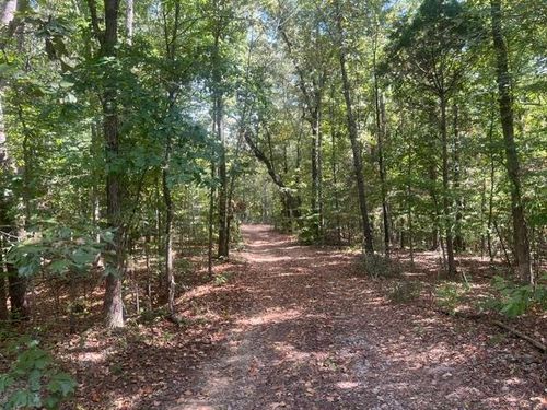 00 Hannis Rd, Bolivar, TN, 38008 | Card Image