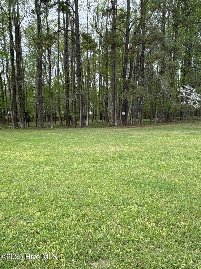20 - 212 Tree Shade Dr, Home with 0 bedrooms, 0 bathrooms and null parking in Washington NC | Image 5