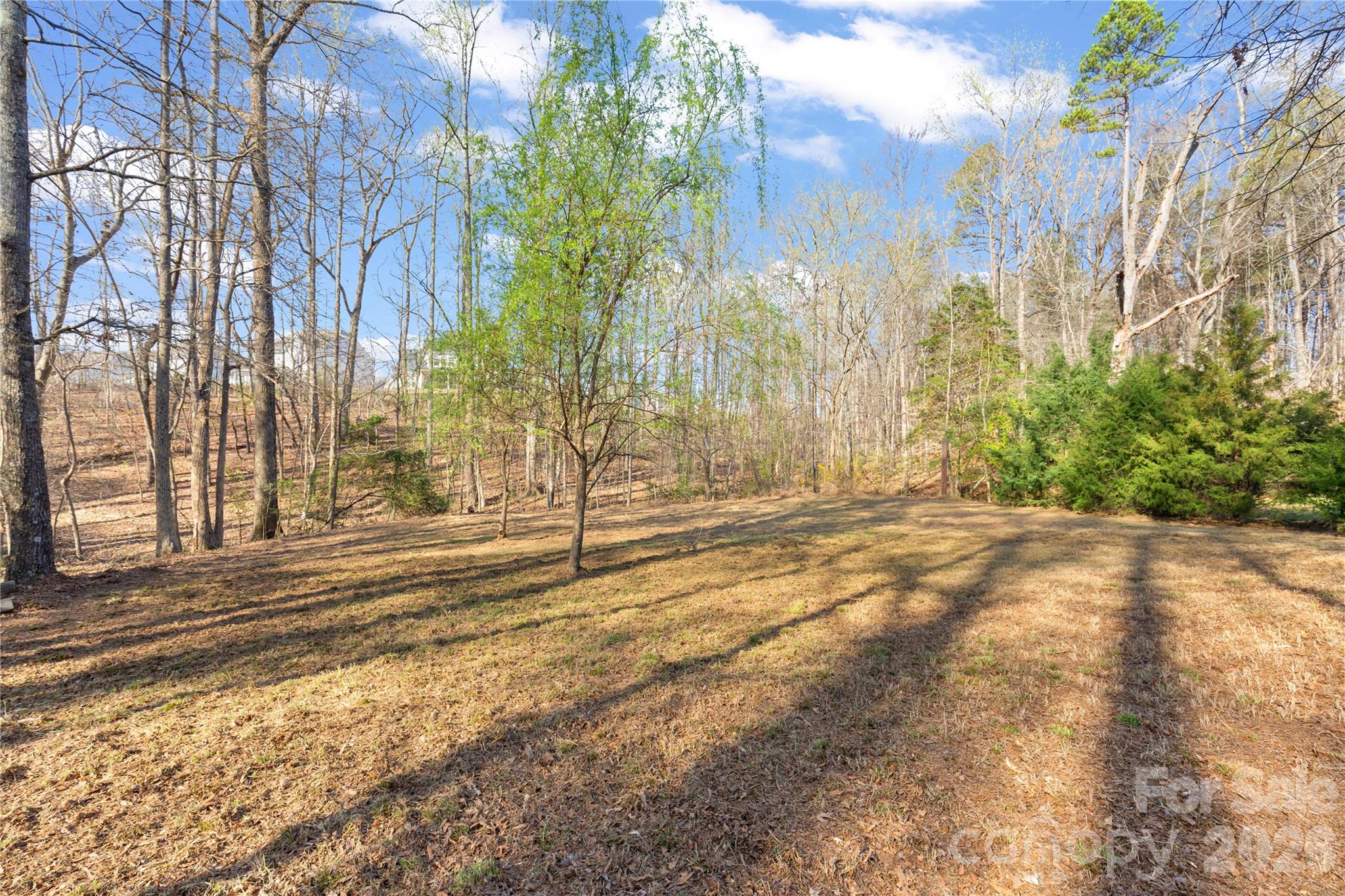 Residential in Fort Mill 5