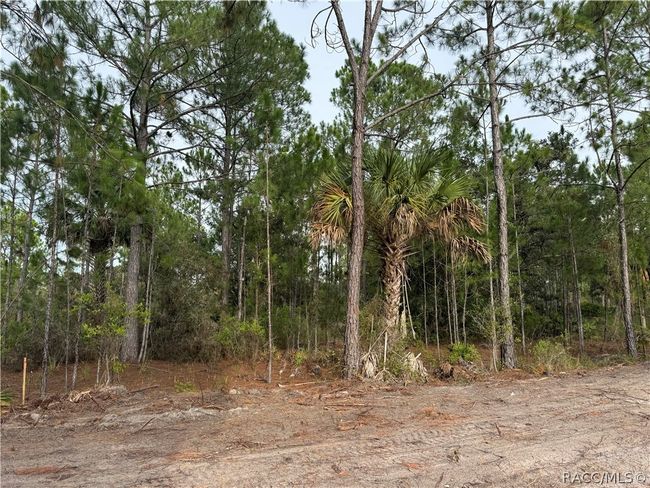 00 Sw 103 Rd Ct, Home with 0 bedrooms, 0 bathrooms and null parking in Cedar Key FL | Image 5