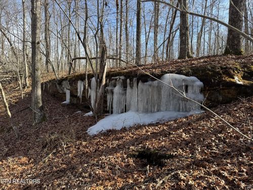 37 Crystal Pt, Monterey, TN, 38574 | Card Image