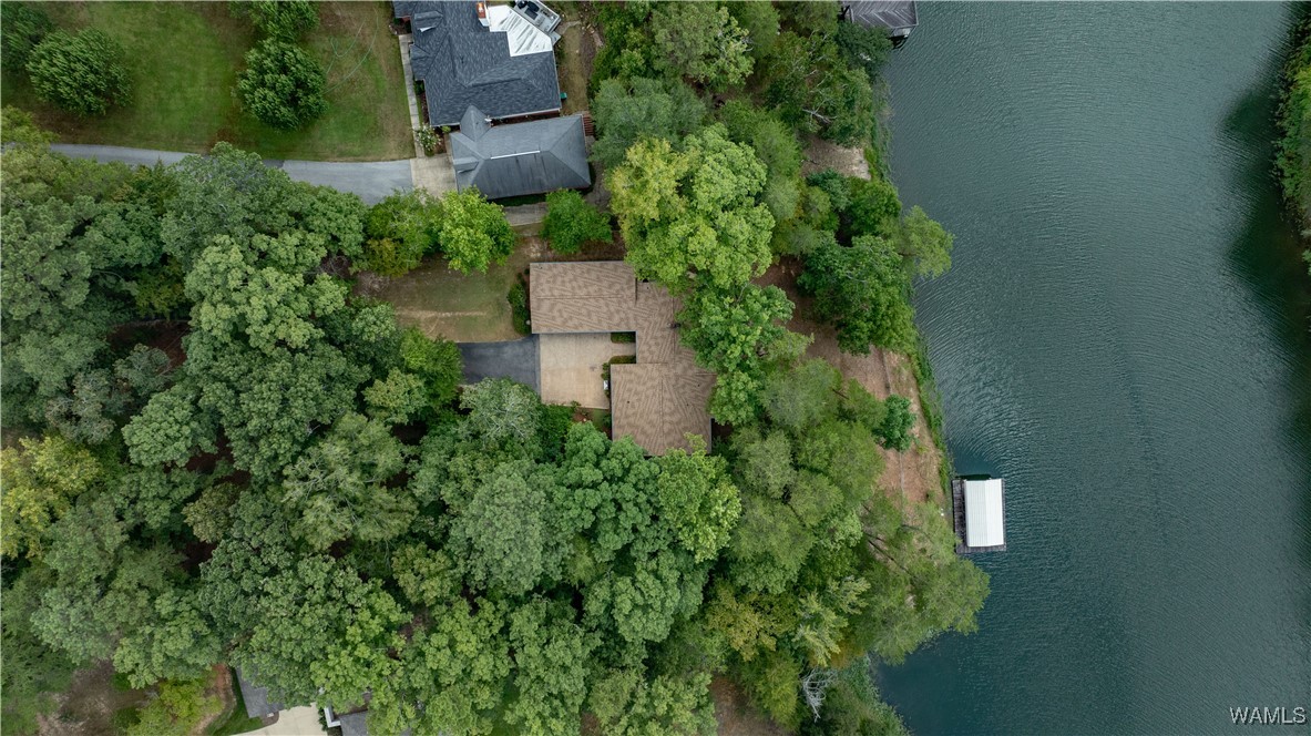 Lighter Dr, Northport, AL 35475