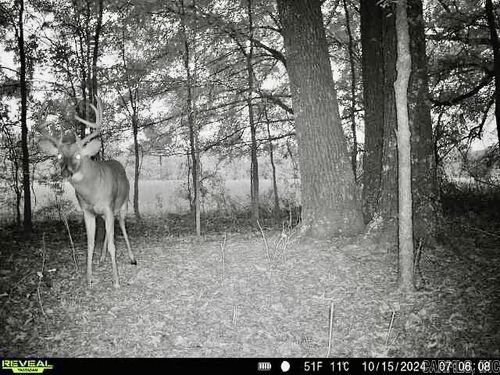 000 Oak Dale Rd, Lonoke, AR, 72086 | Card Image