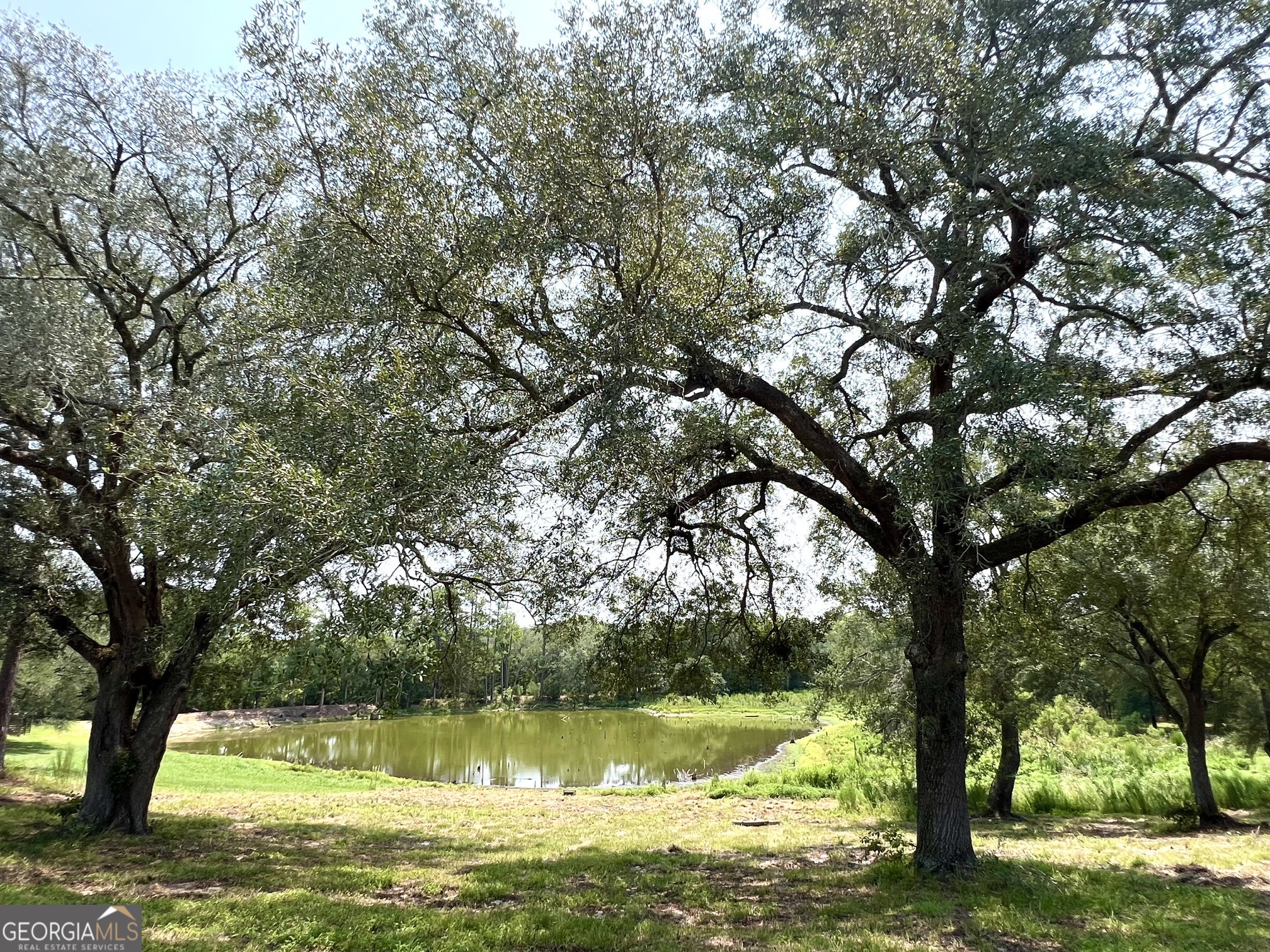 Land in Glennville 2