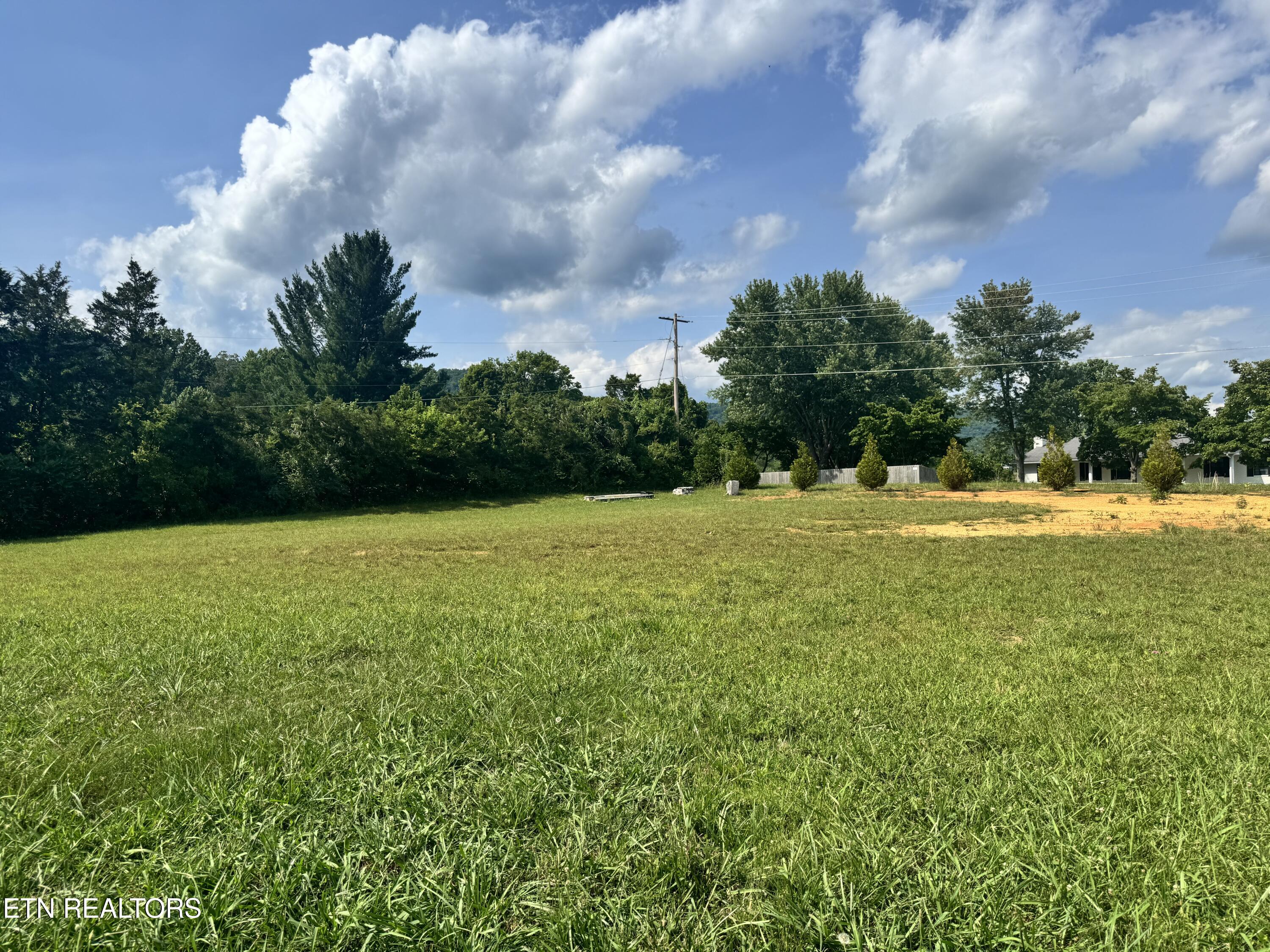Land in Jacksboro 5
