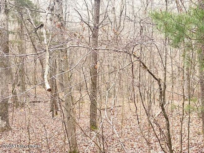 0 Sleepy Hollow Cir, Home with 0 bedrooms, 0 bathrooms and null parking in Clarkson KY | Image 5