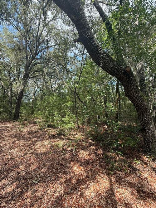 LOT 132 Duncan Ave, Interlachen, FL, 32148 | Card Image