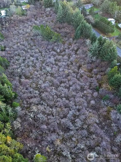 0 Pacific Ave N, Long Beach, WA, 98631 | Card Image