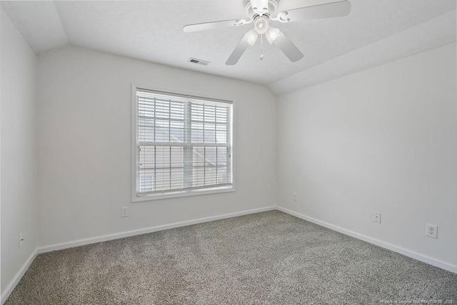 Photo 19 | Image 19