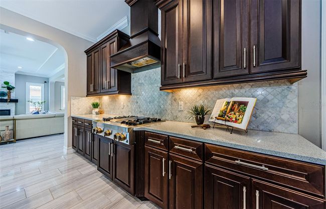 29038 Picana Ln, House other with 4 bedrooms, 4 bathrooms and null parking in WESLEY CHAPEL FL | Image 25