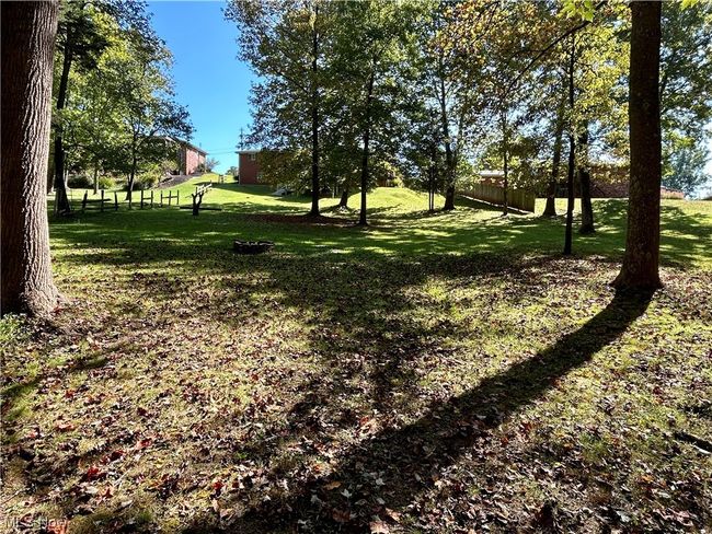 View of yard | Image 4